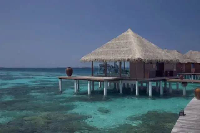 Tailor Made Holidays & Bespoke Packages for Coco Bodu Hithi