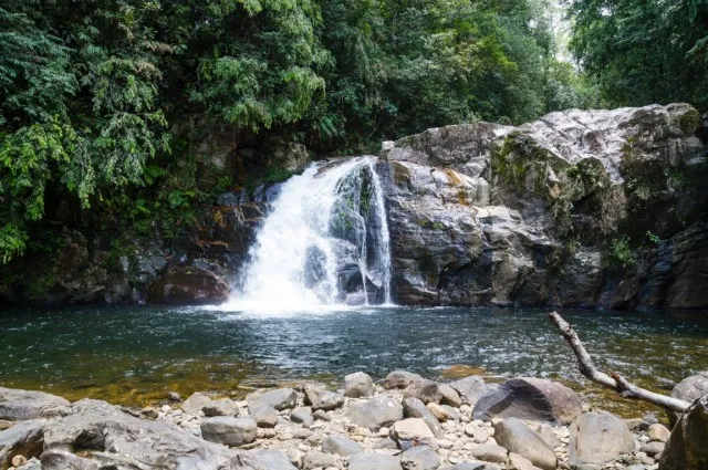 Sinharaja Forest Reserve