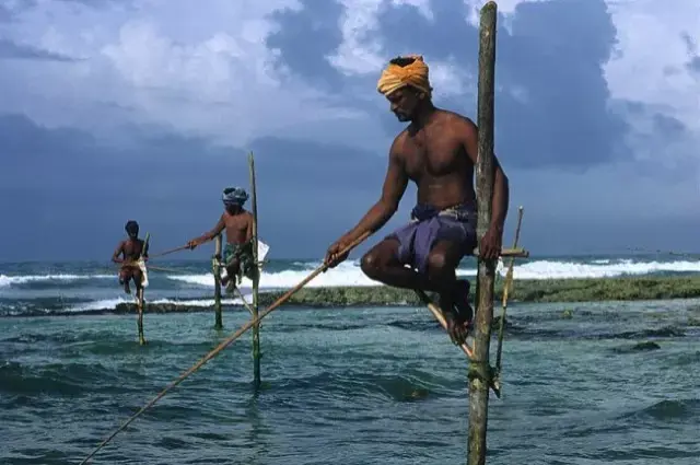 Stilt Fishermen