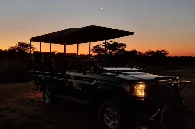 Tailor Made Holidays & Bespoke Packages for Ndlovu Safari Lodge