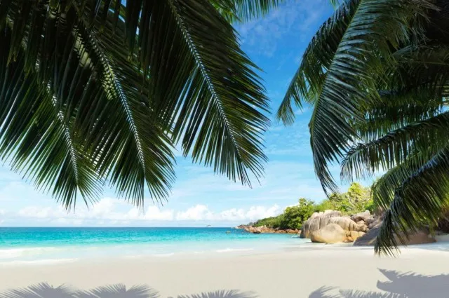 Tailor Made Holidays & Bespoke Packages for Raffles Seychelles