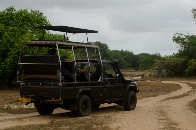 Tailor Made Holidays & Bespoke Packages for Leopard Trails (Yala National Park)