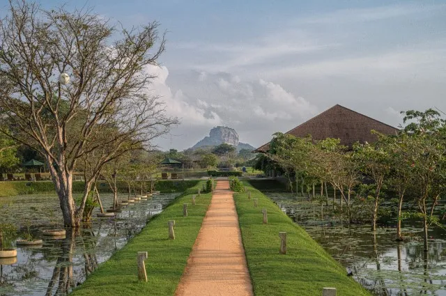 Tailor Made Holidays & Bespoke Packages for Water Garden Sigiriya